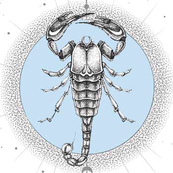 Любовный гороскоп на неделю: Скорпион