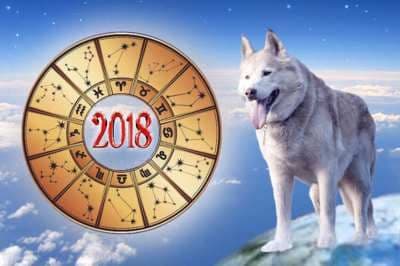 Общий гороскоп на 2018 год