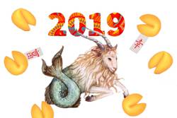 Гороскоп на 2019 год для Козерога