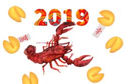 Гороскоп на 2019 год для Рака
