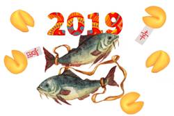 Гороскоп на 2019 год для Рыб