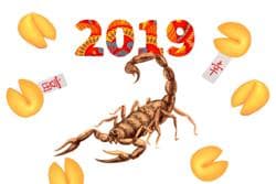 Гороскоп на 2019 год для Скорпиона