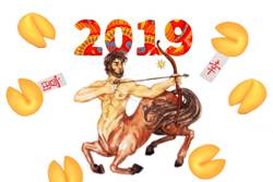 Гороскоп на 2019 год для Стрельца