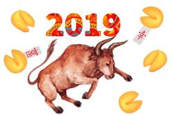 Гороскоп на 2019 год для Тельца