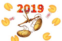 Гороскоп на 2019 год для Весов