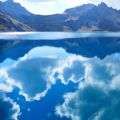 Стихия Вода:
Крыса, Кабан